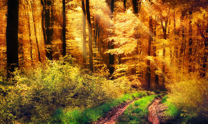 (c)Smileus - Fotolia.com