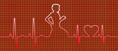 Bild von Jorona auf Pixabay